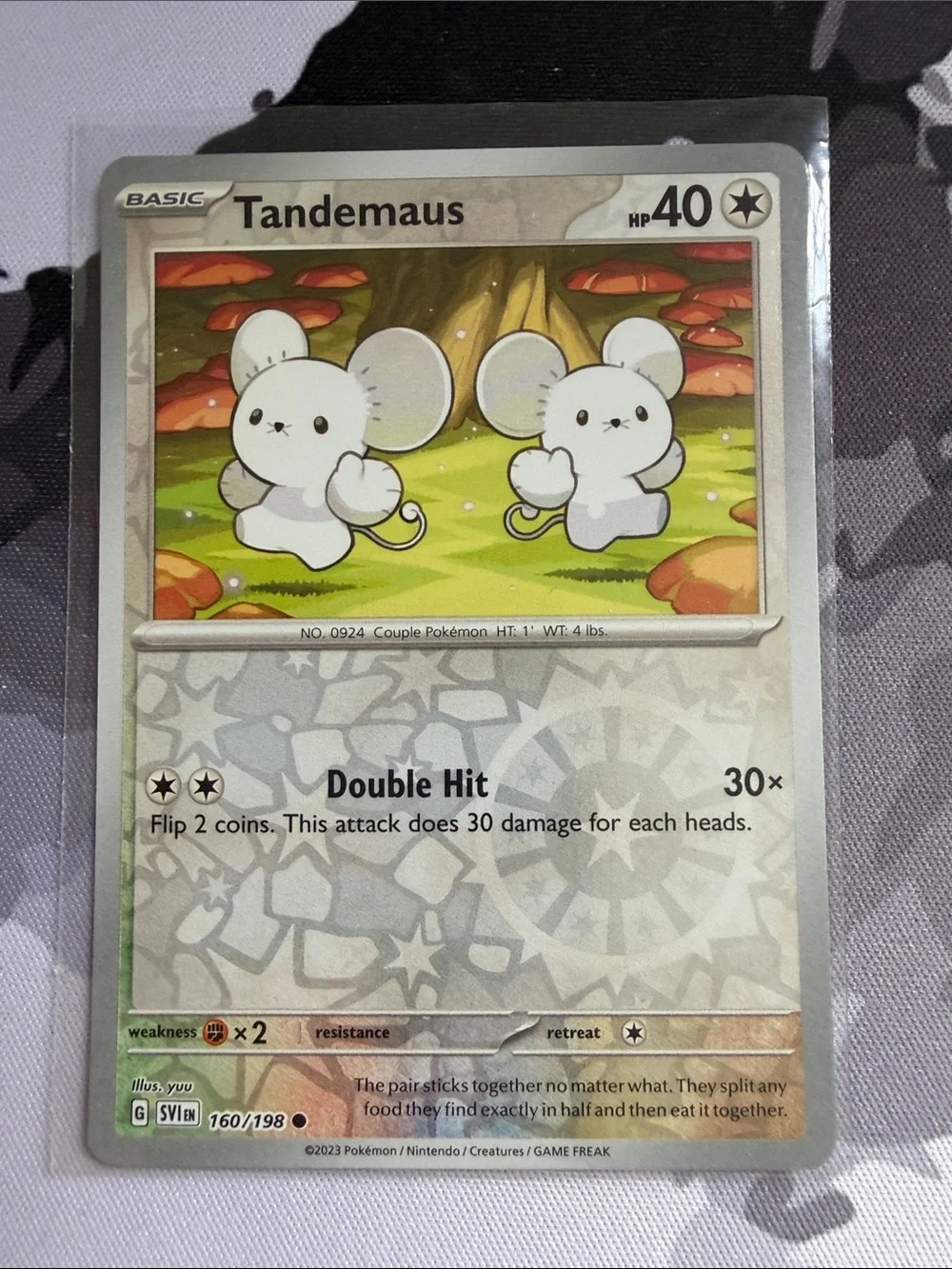 Tandemaus & Maushold Pokémon Evolution Lot 🐭 Reverse Holo | 5 Cards ✨5/$25✨